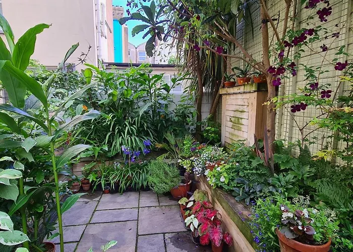 Red Brighton Blue Hotel